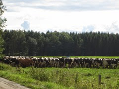 IMG_0693 IMG_0693