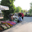viragvasar_2010_01.jpg