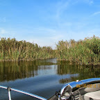 IMG_8026.JPG