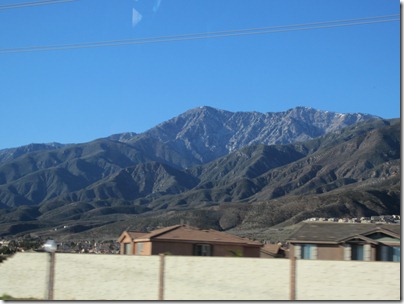 IMG_0100 IMG_0100