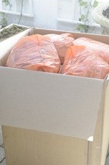 20120427_113642