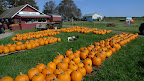 A Visit to Krupski Farms