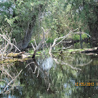 IMG_7631.JPG