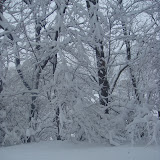 Blizzard TwentyTen - DSC08570.JPG
