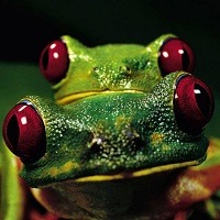 @ 10 curiosidades interessantes que provavelmente você não sabia @ 10 curiosidades interessantes que provavelmente você não sabia