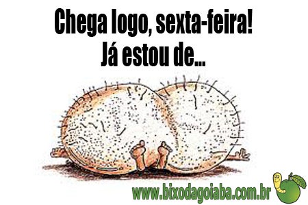 [chega-logo-sexta-feira-estou-de-saco-cheio%255B5%255D.jpg]