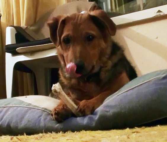 [apollo3%255B4%255D.jpg]