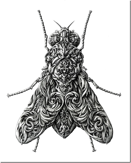 mosca mosca