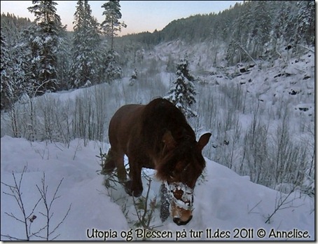 utopia-tur-11des_07