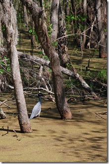 DSC_2924 DSC_2924