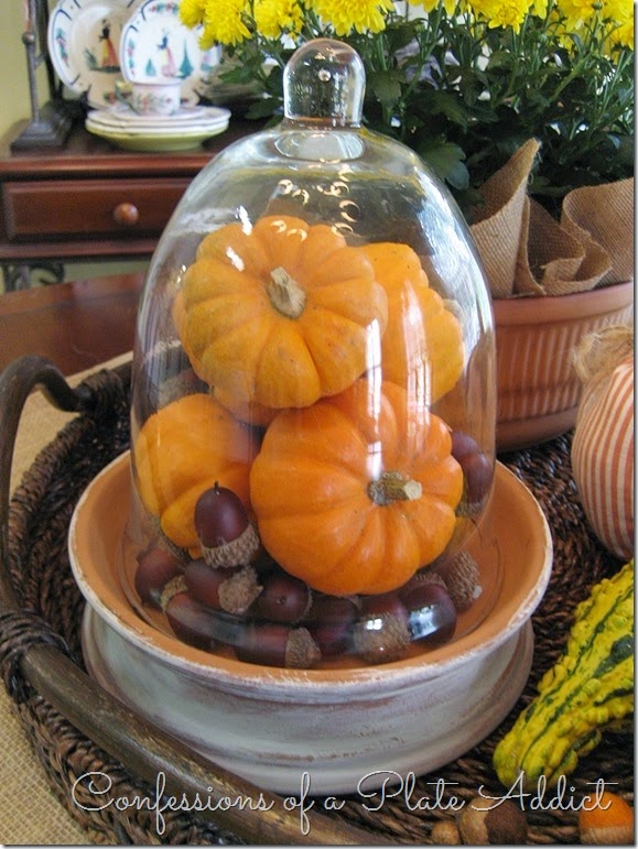 CONFESSIONS OF A PLATE ADDICT Terracotta and Pumpkins Fall Centerpiece CONFESSIONS OF A PLATE ADDICT Terracotta and Pumpkins Fall Centerpiece