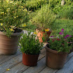 20100724-00015-14.JPG