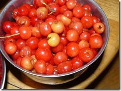 cherries, strawberries, currants 021