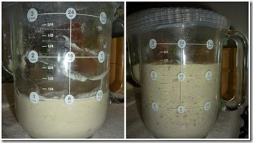 Pie de levadura fermentado 2014-02-26 001