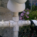 IMG_20120909_141552.jpg