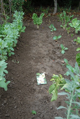 [DSC_0932%255B5%255D.jpg]