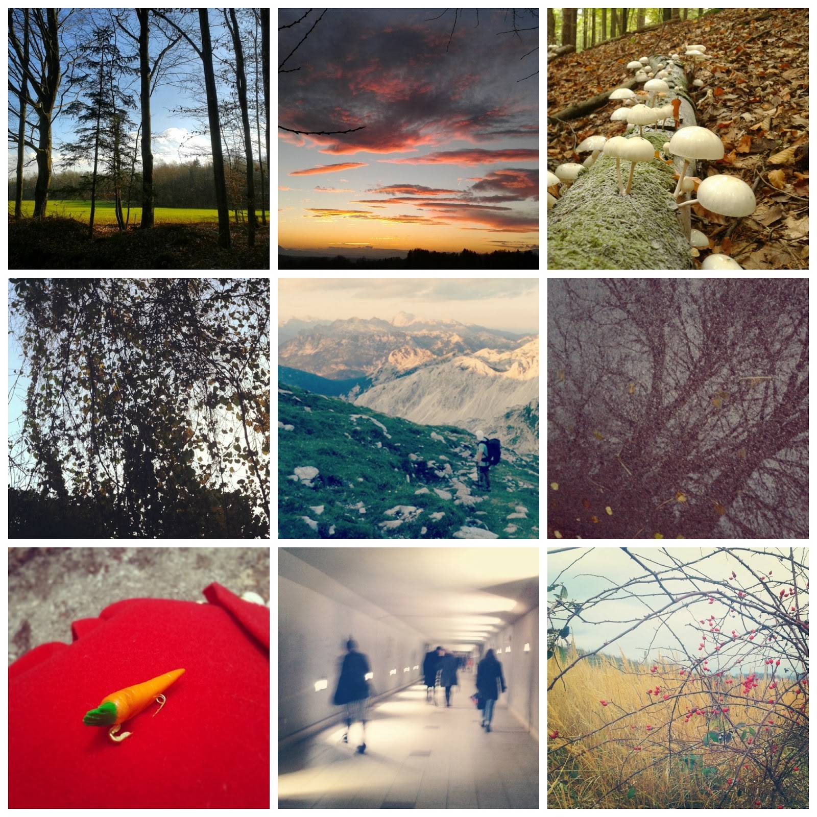 [365%2520walks%2520collage%2520%25287%2529%255B2%255D.jpg]