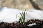 I think it's safe to say that spring is on its way!
