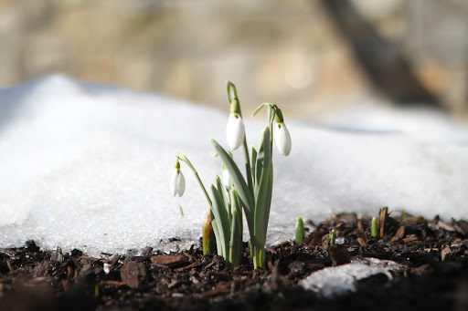 I think it's safe to say that spring is on its way!