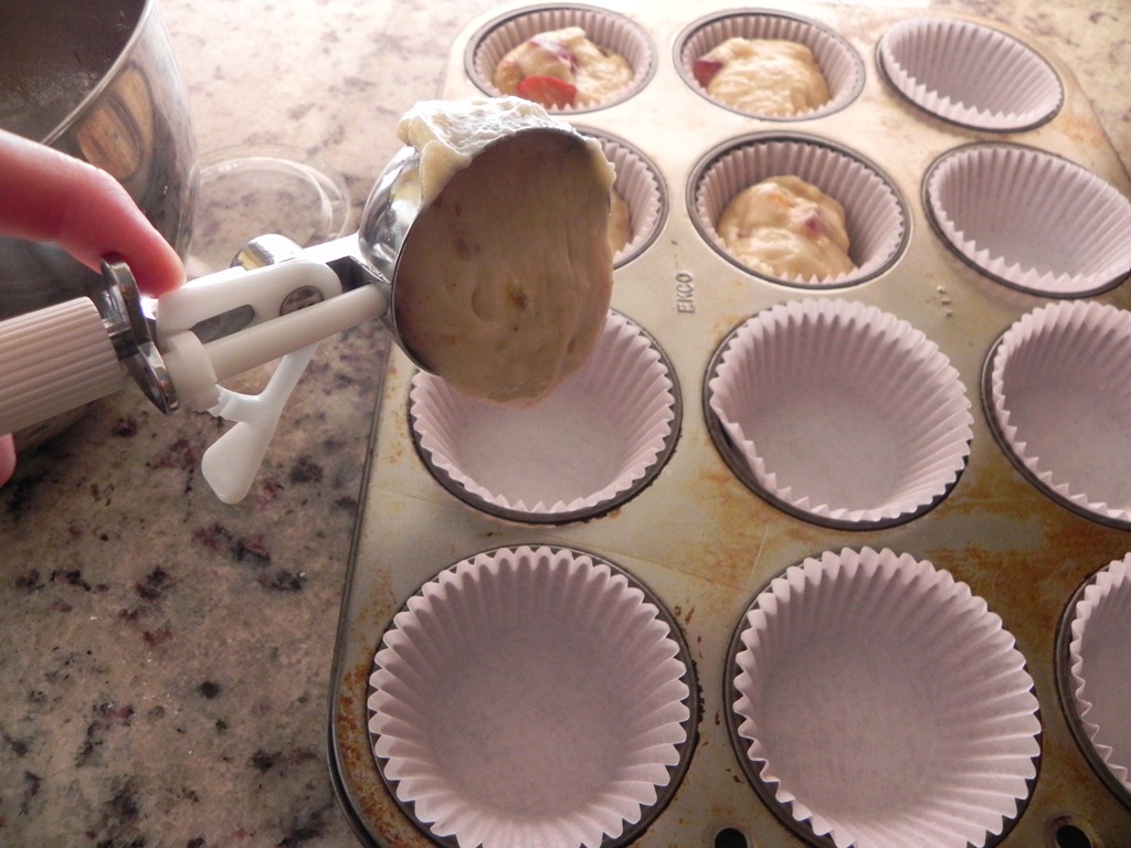 [DSCN9642%255B8%255D.jpg&description=Streusel Topped Plum Muffins {Taste of Home Baking Book Giveaway!}')]