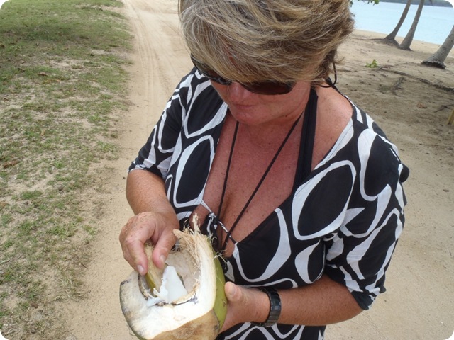 028h chr leert coconut