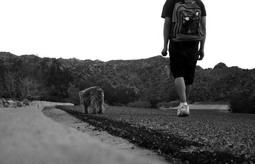 mang den trai nghiem thu vi mang den trai nghiem thu vi