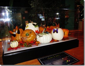 IMG_3953 IMG_3953