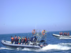 DSC08568.JPG