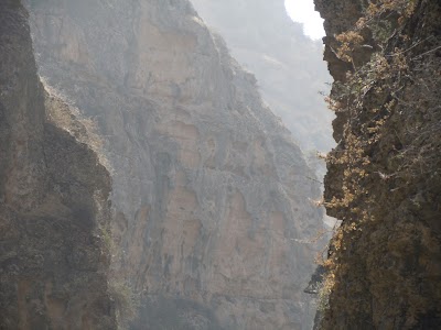 DSCN3934.jpg