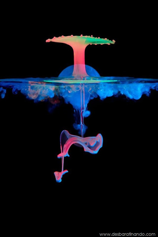 liquid-drop-art-gotas-caindo-foto-velocidade-hora-certa-desbaratinando (213) liquid-drop-art-gotas-caindo-foto-velocidade-hora-certa-desbaratinando (213)