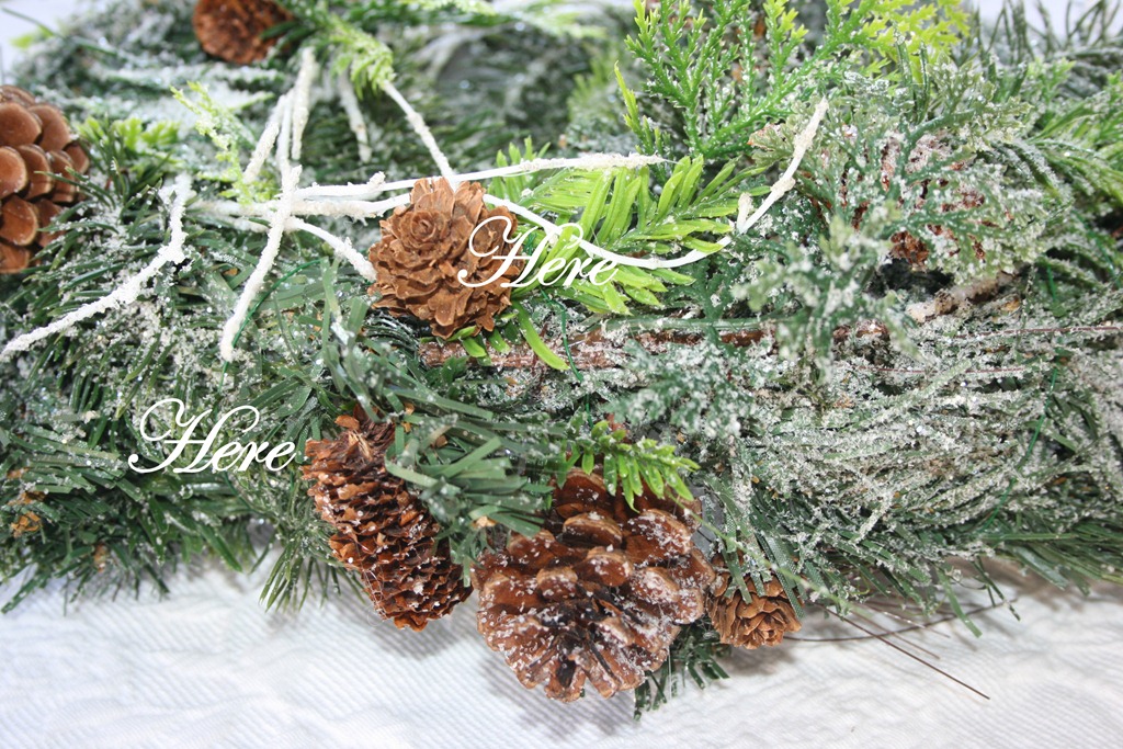 [shug%2520and%2520ebay%2520020%255B8%255D.jpg]