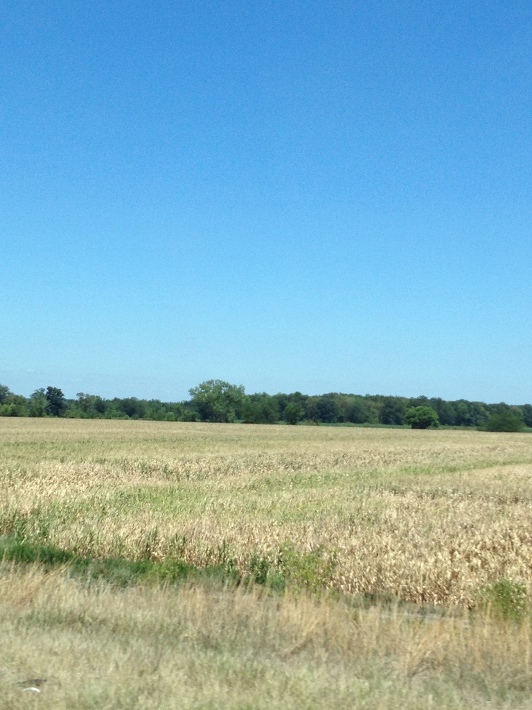 [IMG_0719%255B6%255D.jpg]