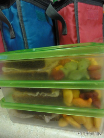 sandwich lunch boxes