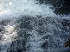 P1000050.JPG