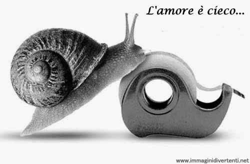 legamenti d amore fai da te