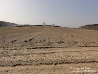 dsc06840.jpg
