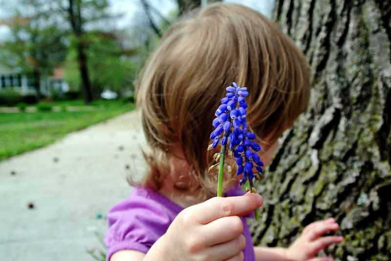 DSC_5273 DSC_5273