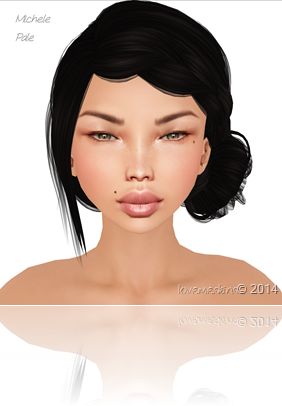 1 michele pale 1 michele pale