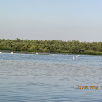 IMG_7889.JPG
