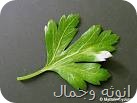 البقدونس لبشره صحيه