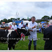 Cattle 004.jpg