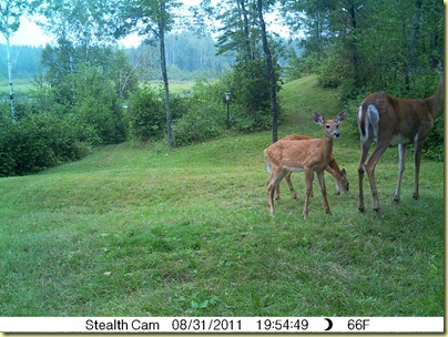 Aug 30-35 Aug 30-35