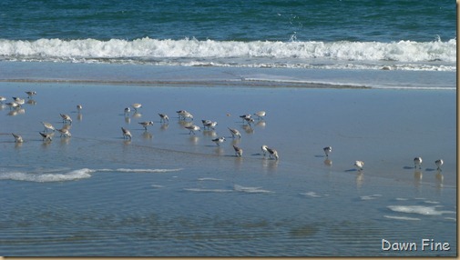 North Beach_004