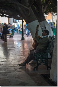IMG_3297 IMG_3297