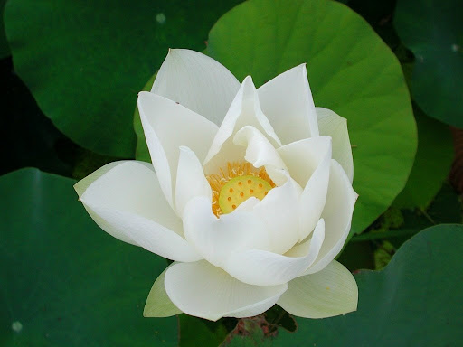 力武 0 の掲示板投稿写真＆画像