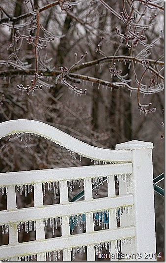 Ice Storm 2014