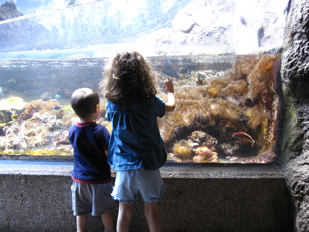 [IMG_2486%255B3%255D.jpg]