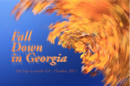 FallDowninGA-2011-09-27-18-21.jpg
