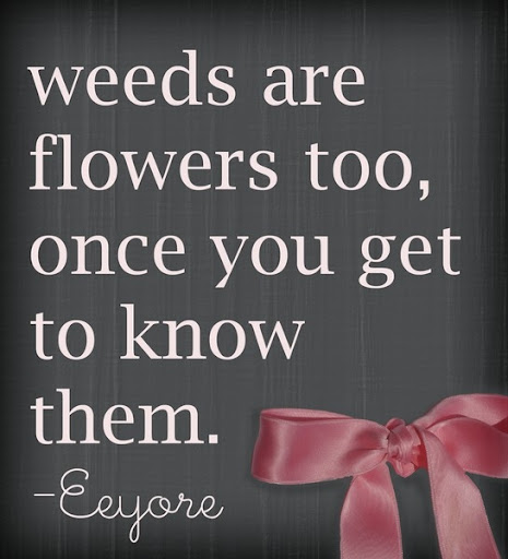 inspiring_friendship_life_love_family_wisdom_quote_105_quote