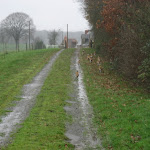 photoIMG_5374.jpg